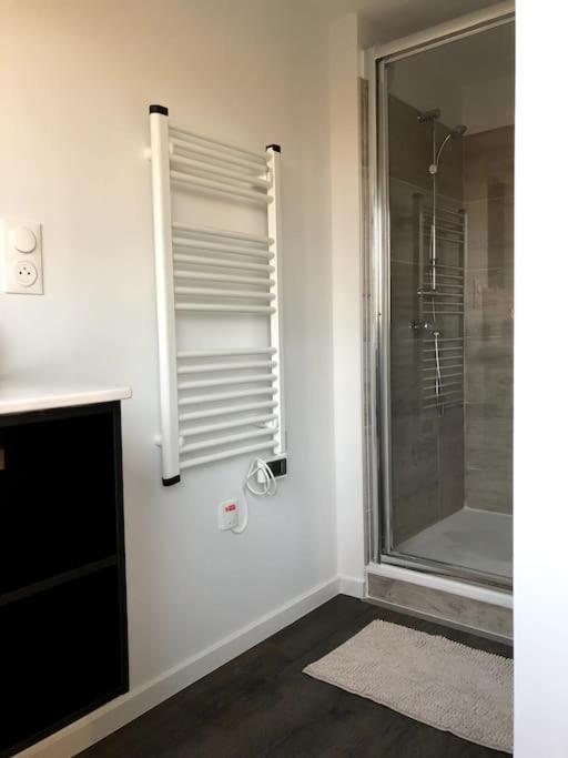 Immeuble Renove Au Centre D'Auch. Appartement Buitenkant foto