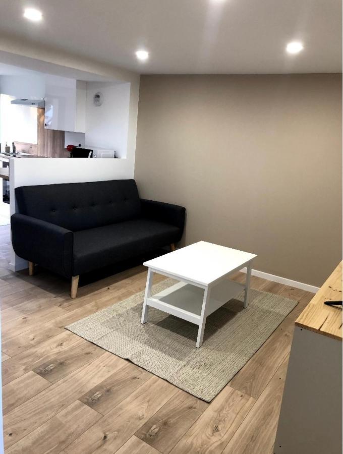Immeuble Renove Au Centre D'Auch. Appartement Buitenkant foto